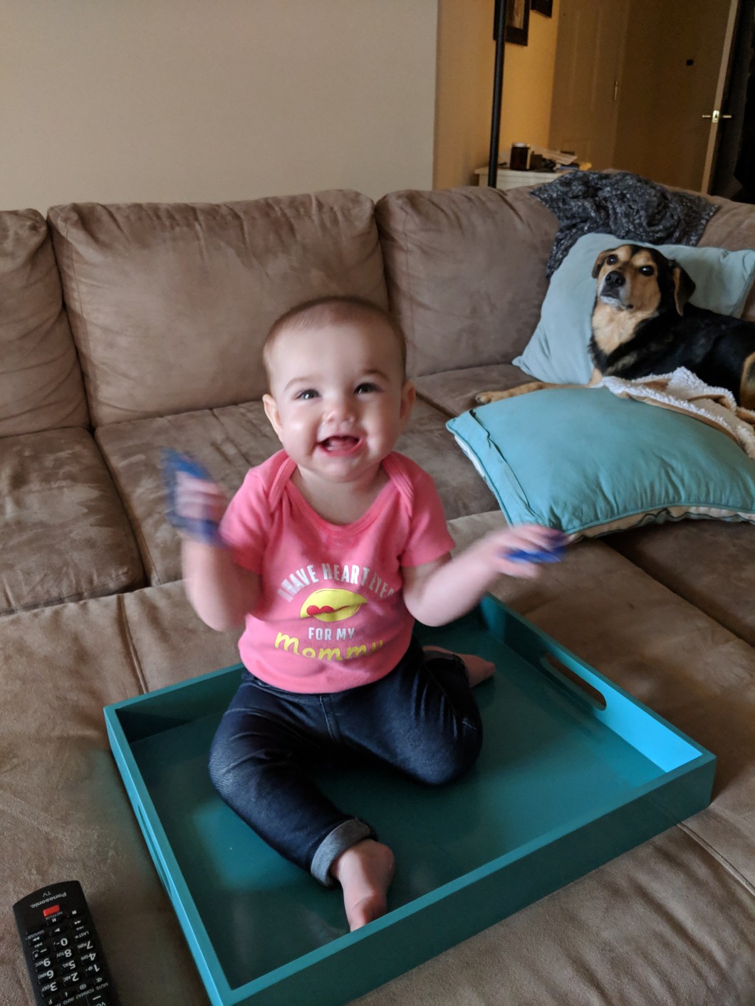 Eloise in Tray (MP, 2019)